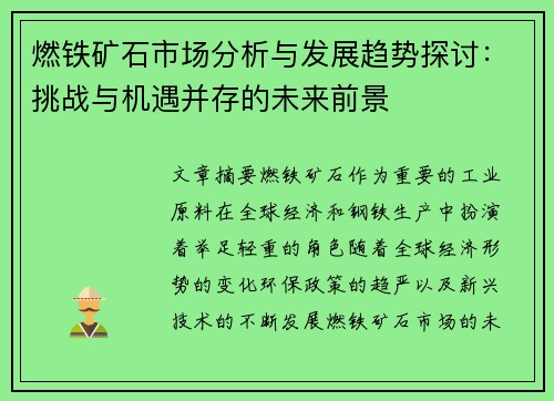 燃铁矿石市场分析与发展趋势探讨：挑战与机遇并存的未来前景